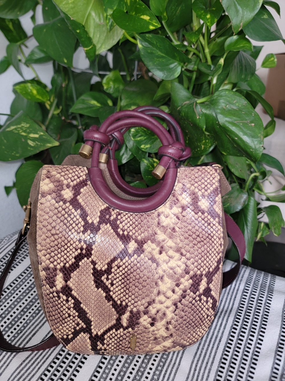Thacker Women’s Snake-Print Purse